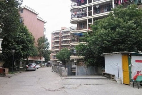 浦上小區綜合評估 優點、不足及周邊中介服務分析